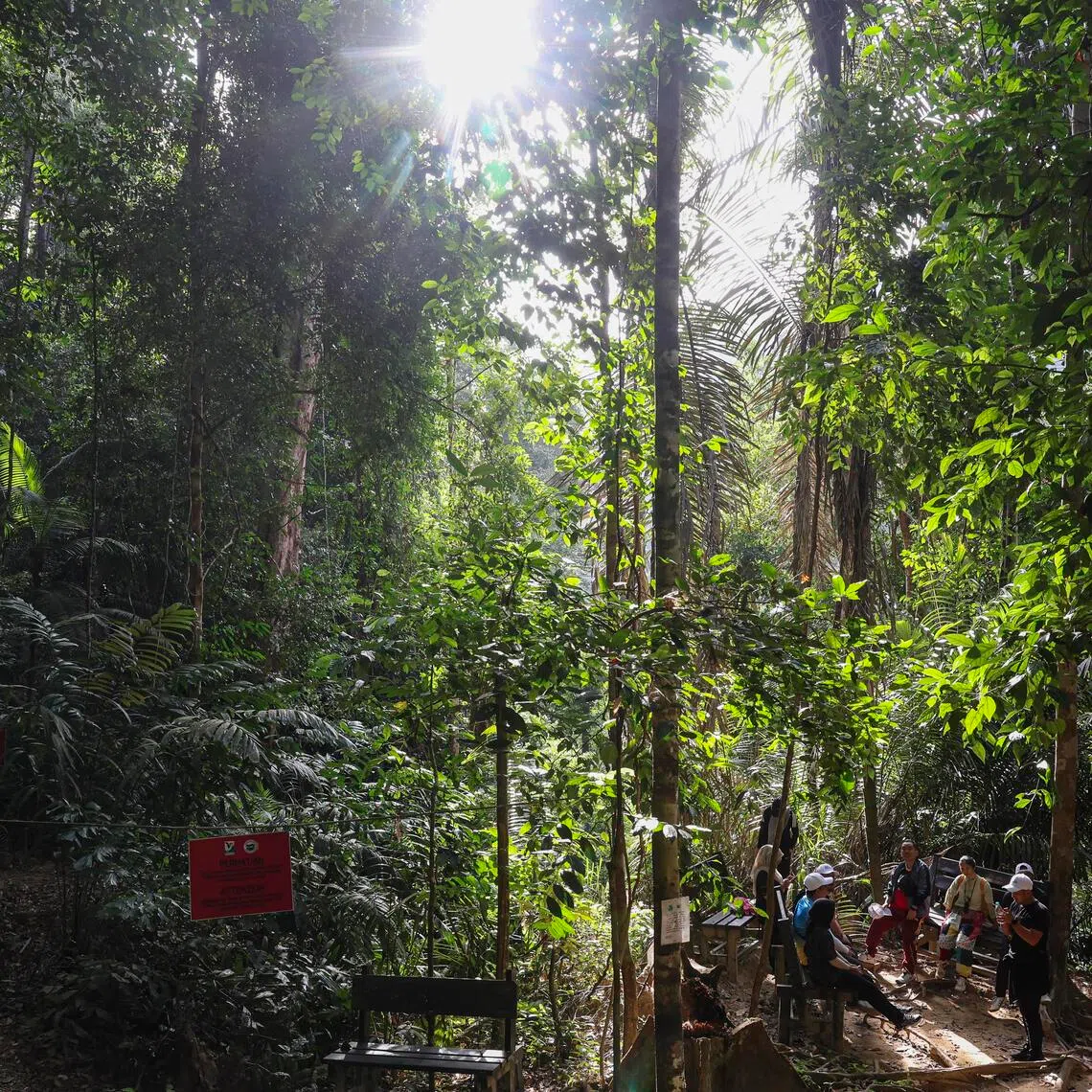 Deputy Minister Syed Ibrahim Syed Noh said some hikers continued to underestimate the importance of proper preparation or the danger of venturing onto unauthorised trails.