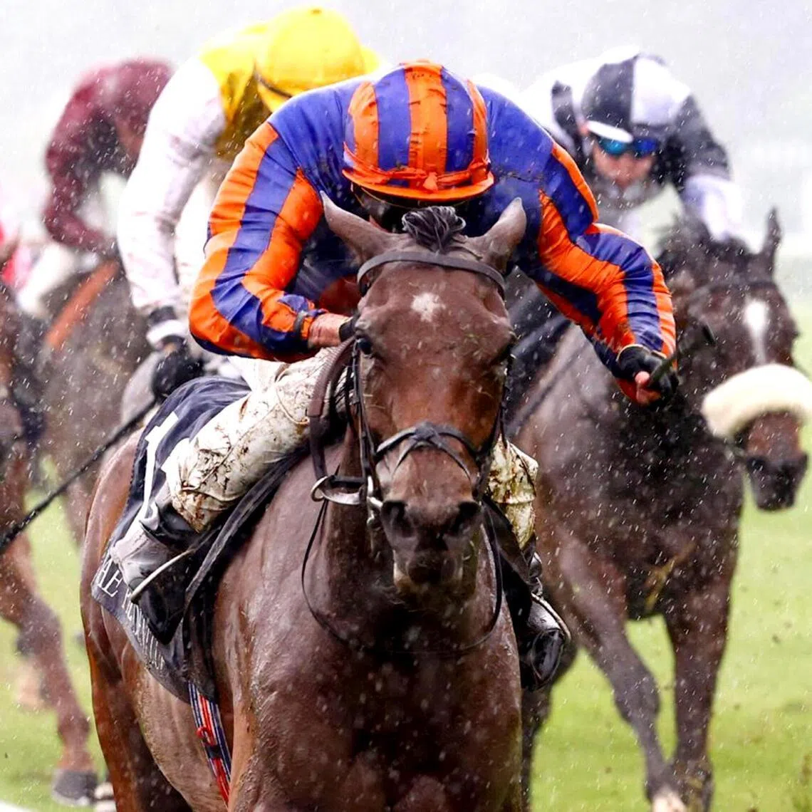 Diamond Necklace (Ryan Moore) ploughed through attritional conditions to land the Group 1 Poule d'Essai des Pouliches (1,600m) at ParisLongchamp on her reappearance on May 10, Coolmore has opted to continue down the French route for the unbeaten filly's Classic season by contesting the Group 1 Prix de Diane (2,100m) at Chantilly on June 14. 

