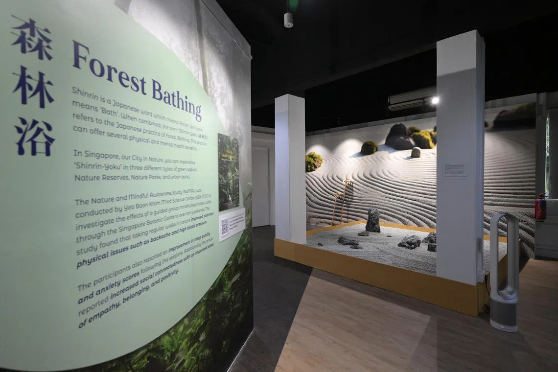 Nature’s Embrace: A Gift to the Mind is a six-month long exhibition held at Level 2 of Block 29 of Alexandra Hospital.