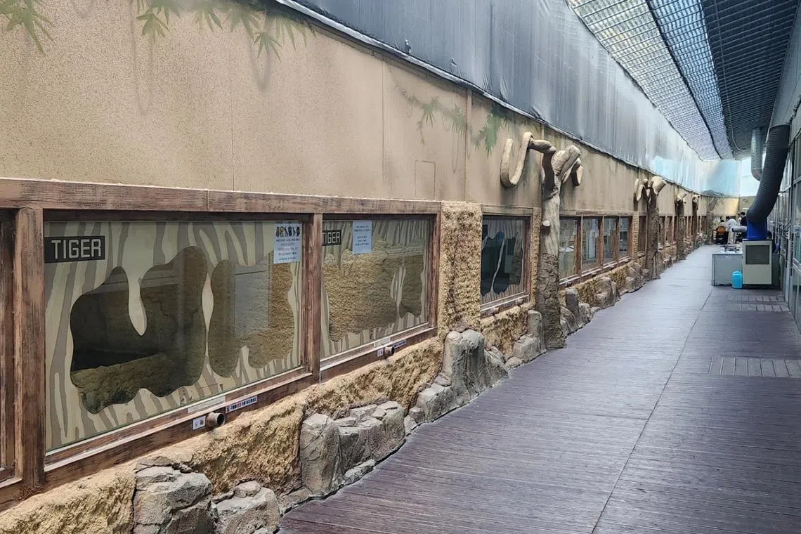 The predator section of the zoo at the Daejeon Aquarium in Daejeon.