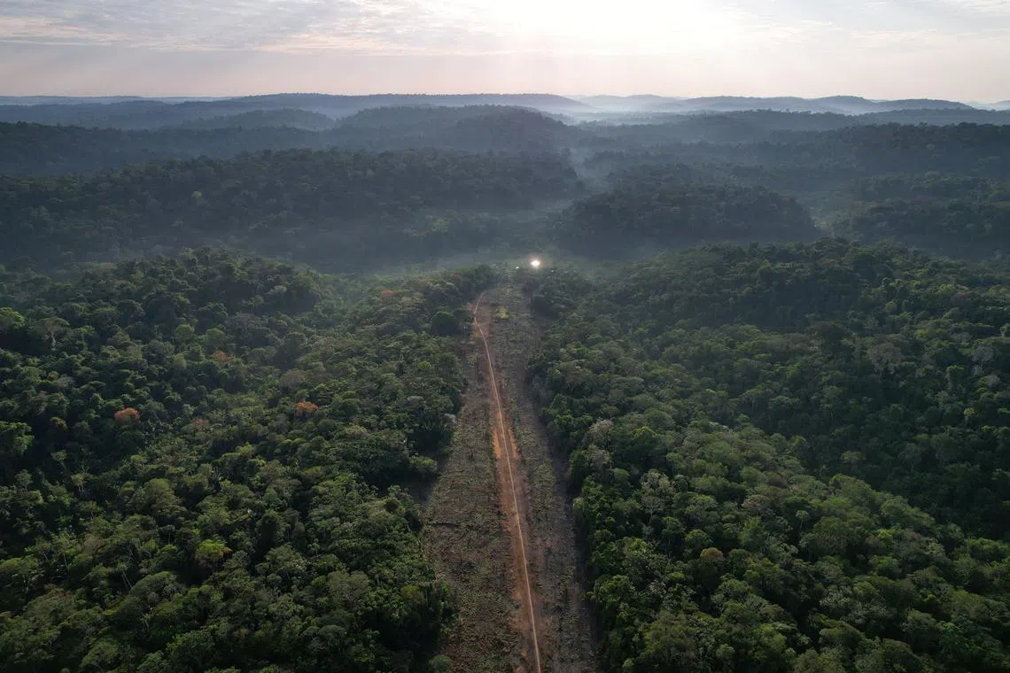 File Photo: A drone view shows a clandestine landing strip for an illegal mining area next to Indigenous land, as the Munduruku people attend an expedition to mark the frontier of the Sawre Muybu Indigenous Territory, in Itaituba municipality, Para state, Brazil, July 21, 2024. REUTERS/Adriano Machado/File Photo