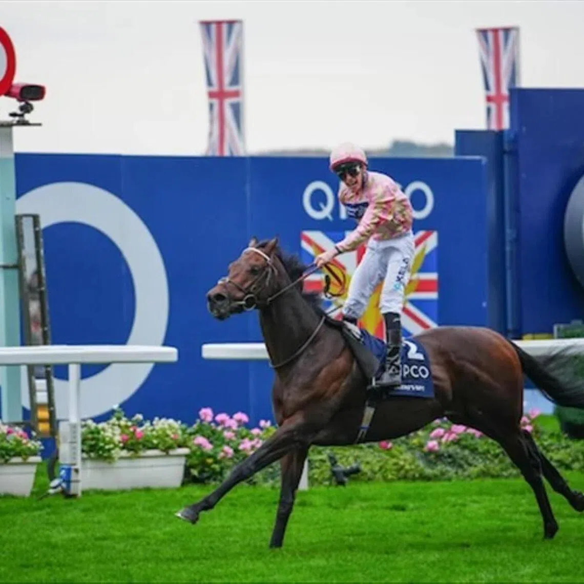 Cicero's Gift (Jason Watson) scoring an 100-1 upset in the Group 1 Qyeen Elizabeth II Stakes (1,600m) at Ascot on Oct 18. The Charlie Hills-trained Muhaarar six-year-old has been entered for the inaugural Abu Dhabi Gold Cup (1,600m) on Feb 7.

