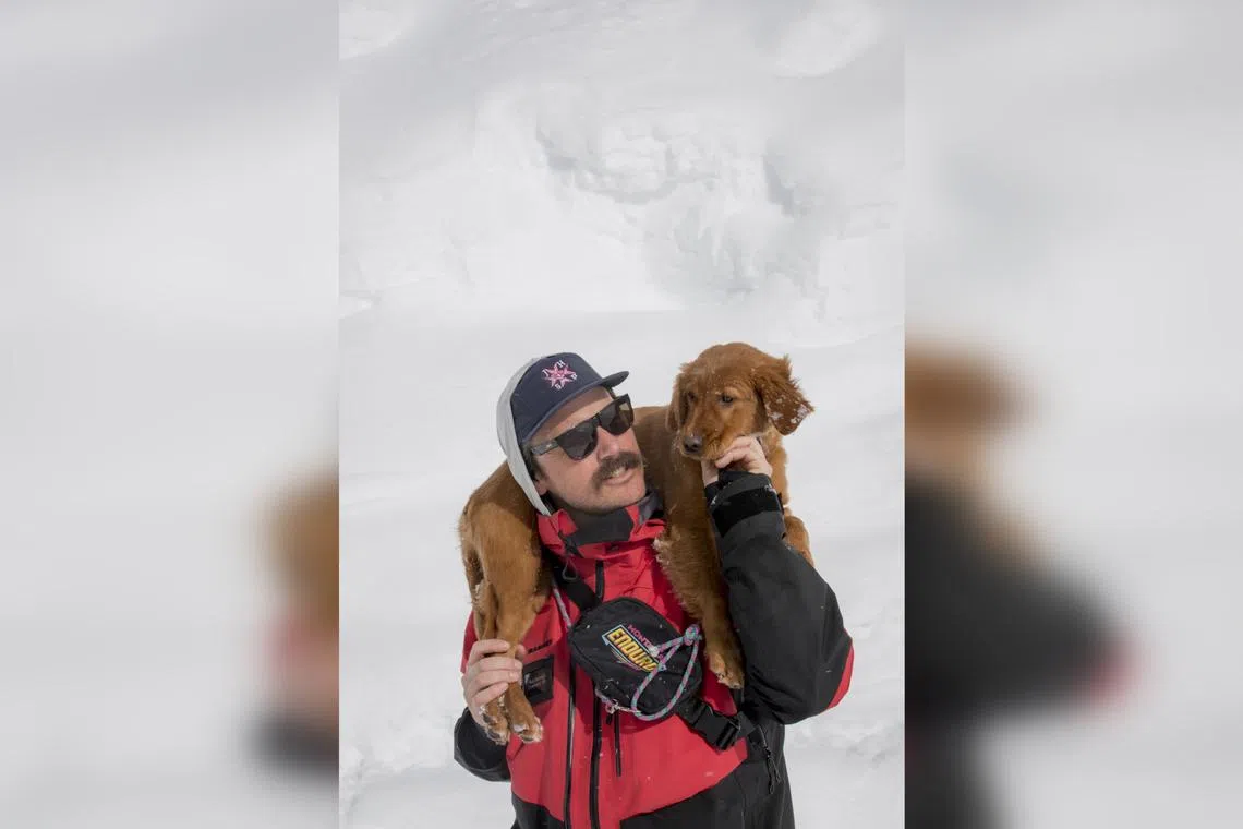 Baggs, a young golden retriever training to be an avalanche rescue dog, with her owner, Mr Rob Brennan, a Jackson Hole ski patroller.