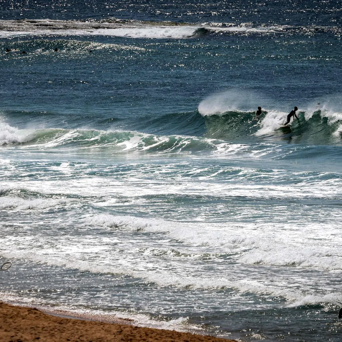 The waters lapping New Zealand are now warming 34 per cent faster than global averages, according to the Our Marine Environment report.