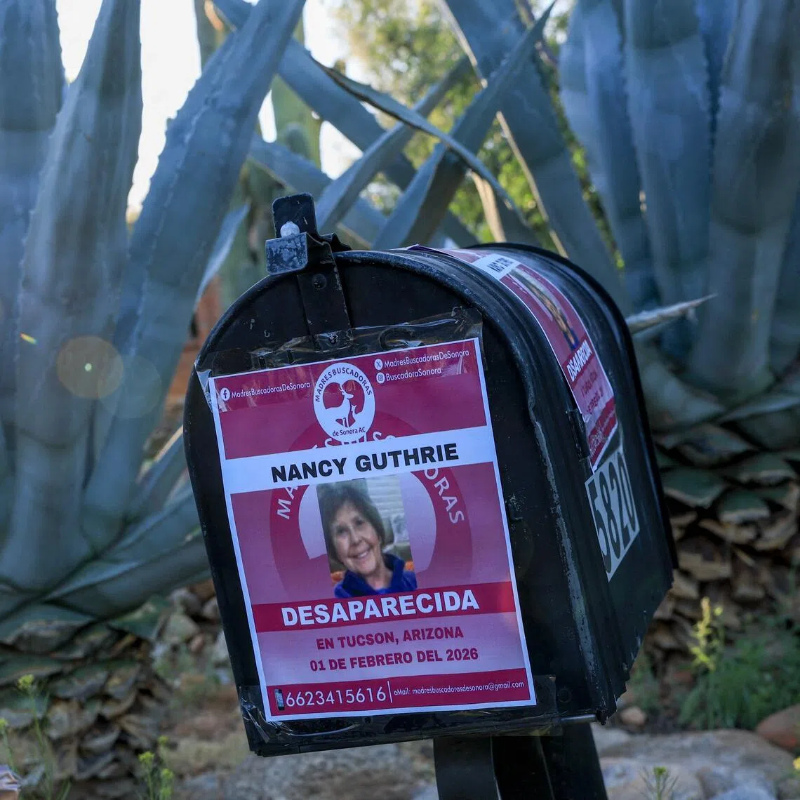 A flyer reading "Nancy Guthrie Desparecida" (Disappeared) taped to Nancy Guthrie's mailbox in Tucson, Arizona.