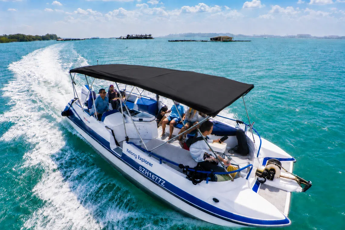 Coastal Life Tour by Let’s Go Tour