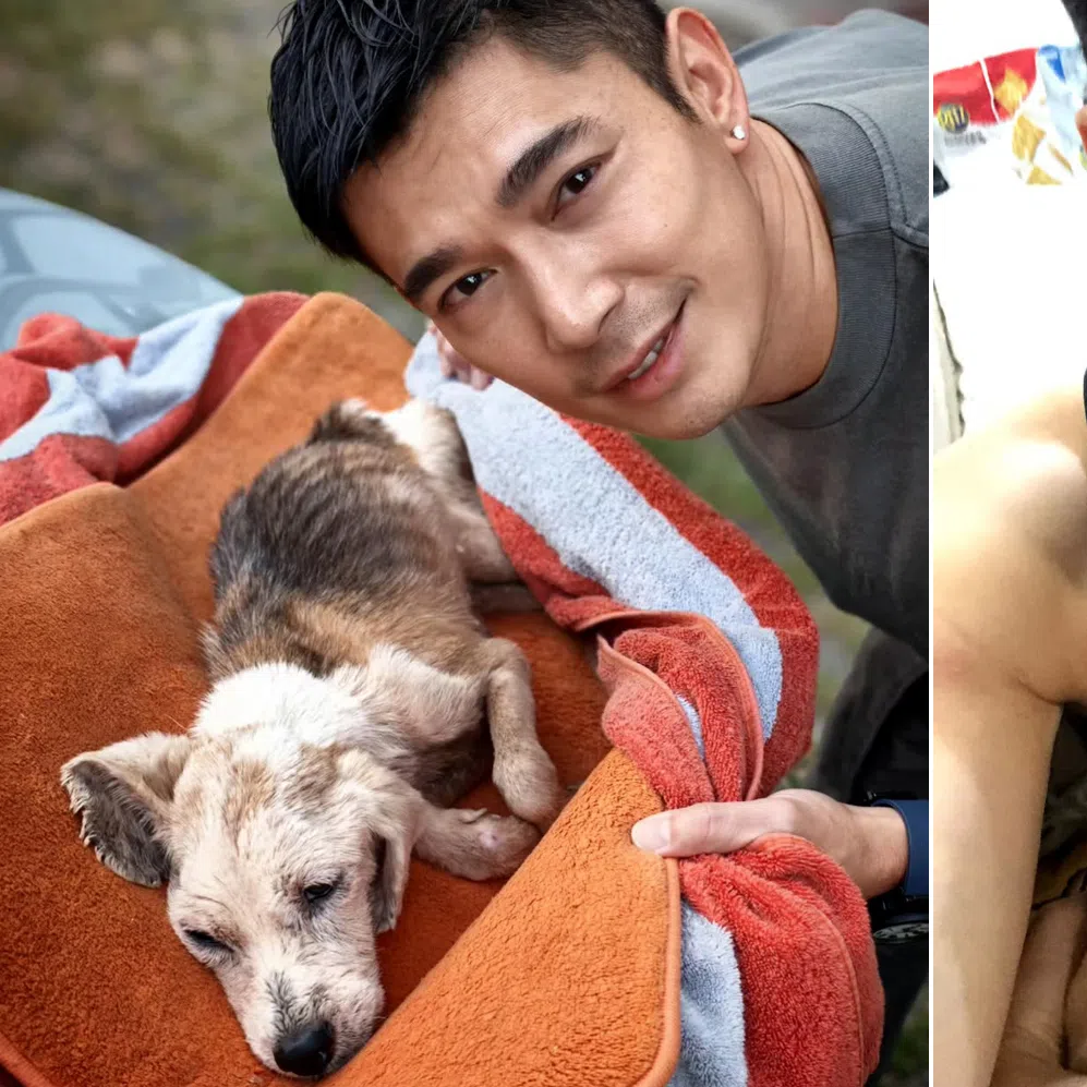Elvin Ng (left) and Lee Teng both reflected on years of companionship and the difficult circumstances surrounding the deaths.