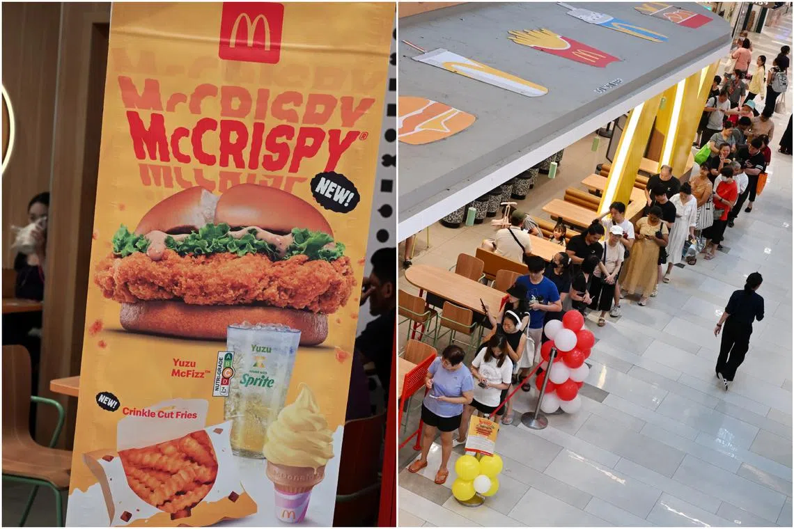 People queuing for the free and all-new McCrispy burger at the McDonald's outlet in City Square Mall, on Sept 4.