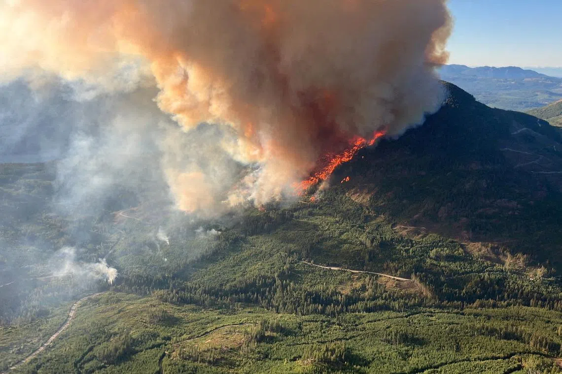 FILE PHOTO: An aerial view shows smoke rising from the Mount Underwood wildfire (V71498) south of Port Alberni, British Columbia, Canada August 11, 2025.  BC Wildfire/Handout via REUTERS/File Photo