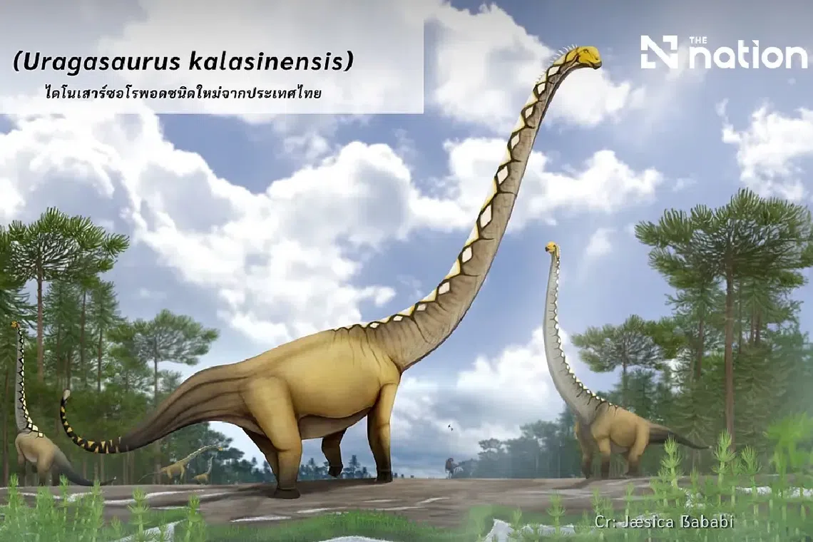 Thailand names new snake-necked dinosaur from Kalasin province