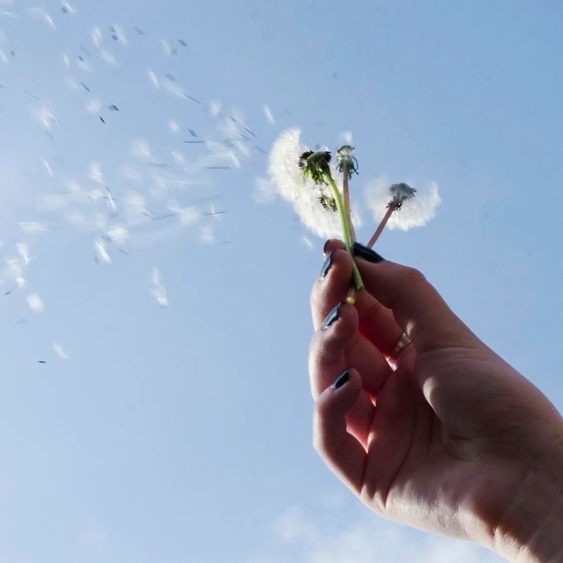 By opening up a space in her calendar, the writer says she intentionally makes time to acknowledge "beauty emergencies" that cross her path. 