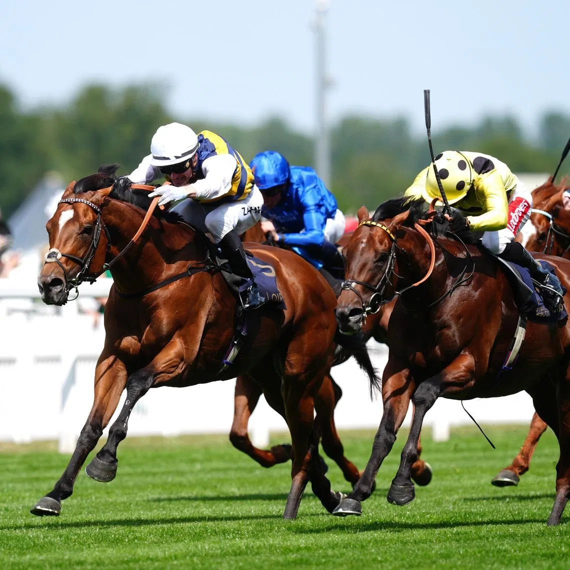Docklands (Mark Zahra, white cap) springing a 14-1 upset in the Group 1 Queen Anne Stakes (1,600m) at Royal Ascot on June 17 when defeating Rosallion (Sean Levey) by a nose. The Harry Eustace-trained entire will attempt to go back-to-back in the Queen Anne on June 16.