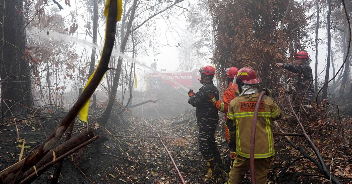 Indonesia tests a new weapon against forest fires. Does it work?