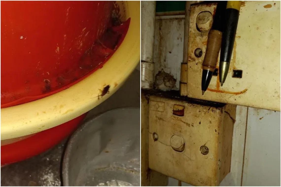 SFA officers found cockroaches and electrical switches caked in grime at the premises of Pai Choi Siang's establishment.