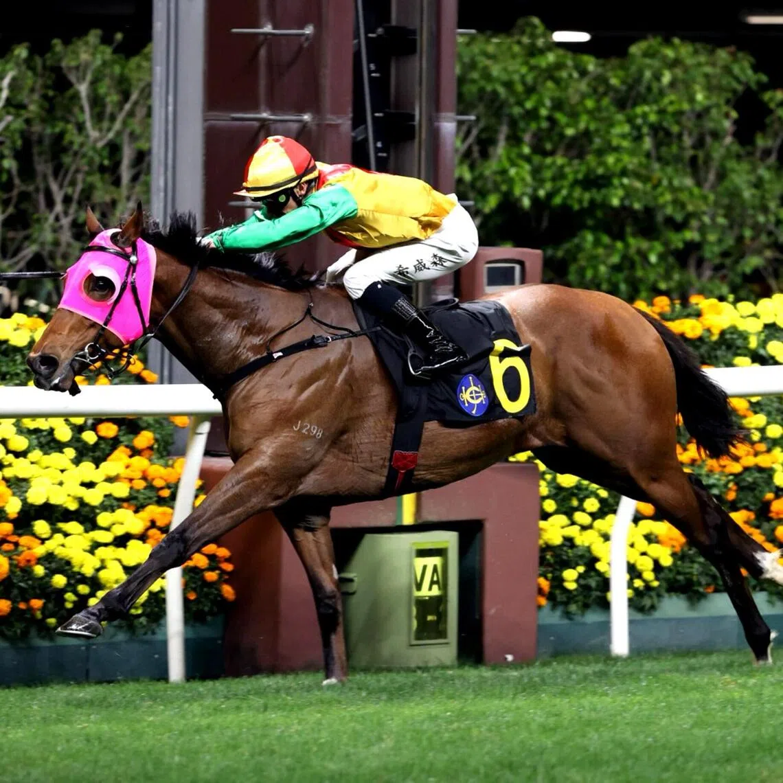 hk19 - Highland Rahy