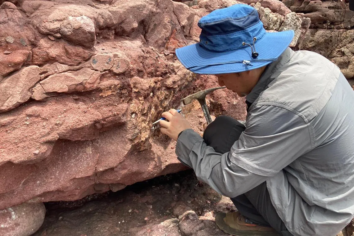 A Chinese Academy of Sciences expert collecting fossil specimens on Hong Kong's  Port Island.
