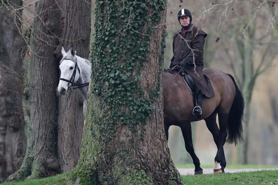 Andrew Mountbatten-Windsor riding a horse in Windsor Great Park, Britain, Feb 2, 2026, after the US Justice Department released more records tied to the late financier and convicted sex offender Jeffrey Epstein.