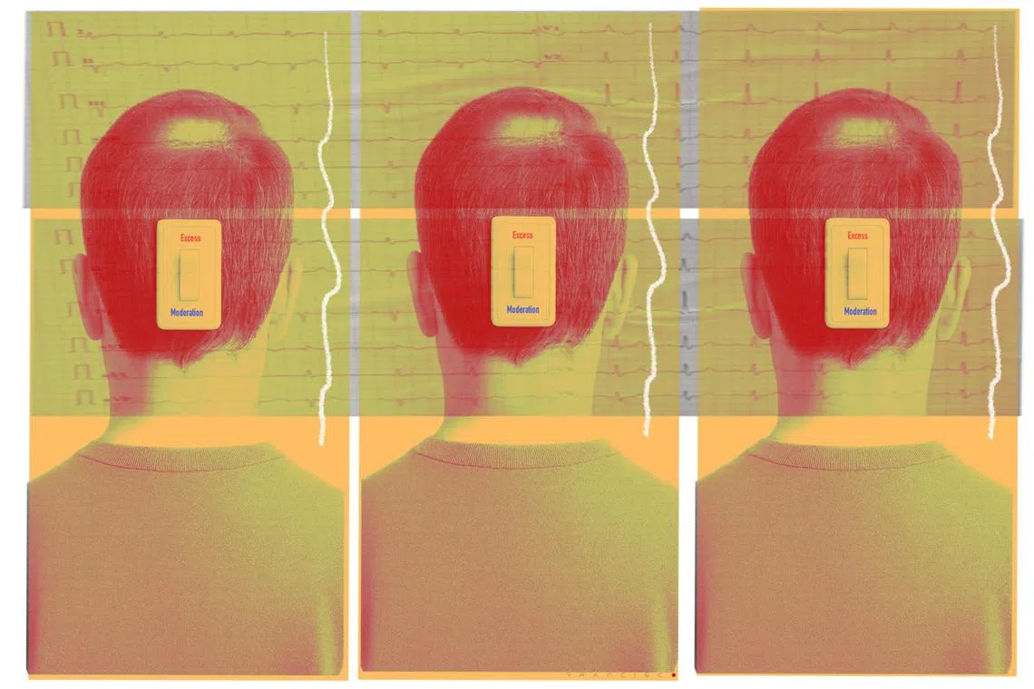 Maybe moderation isn’t just a lifestyle but a wider philosophy. A changed way of seeing the world as middle age binds and alters us.