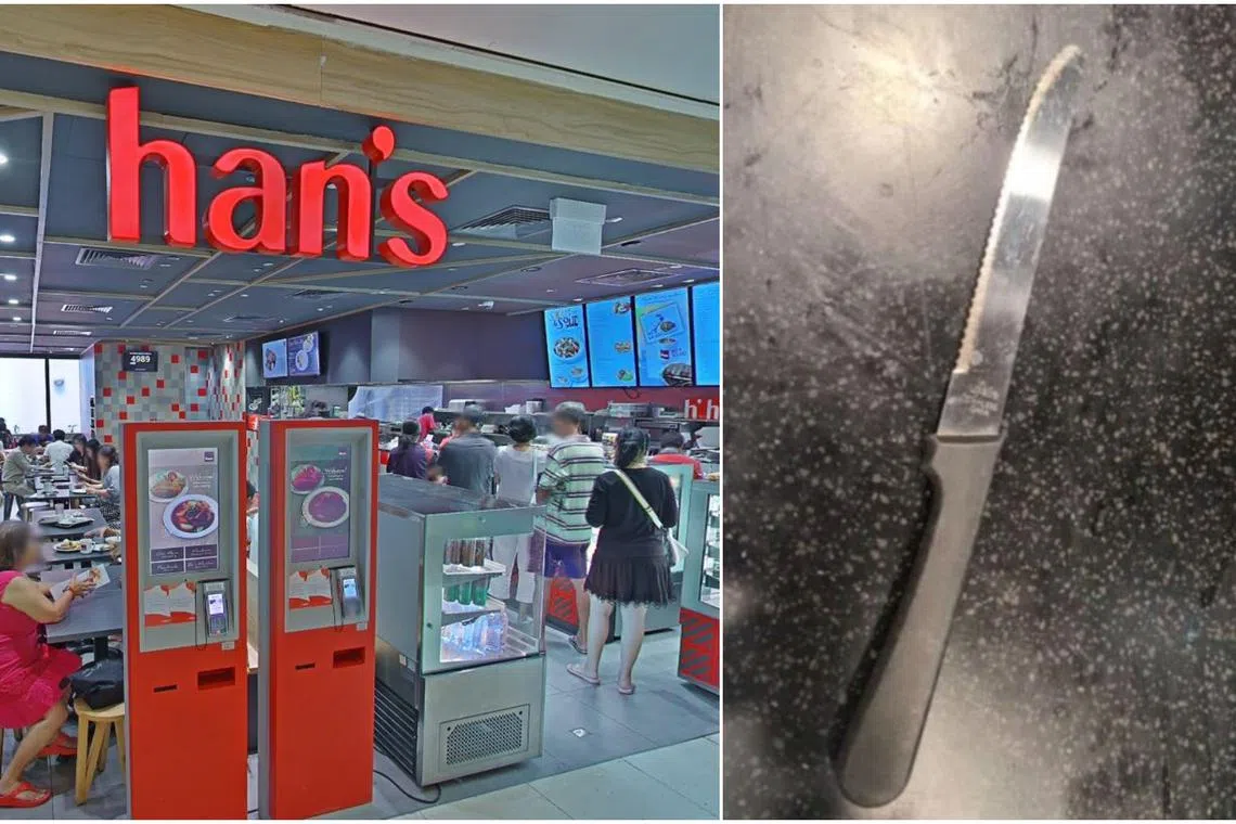 Lam Hoe Lian allegedly took a knife from a table at Han’s Cafe in Velocity @ Novena Square shopping mall and tried to rob a customer.