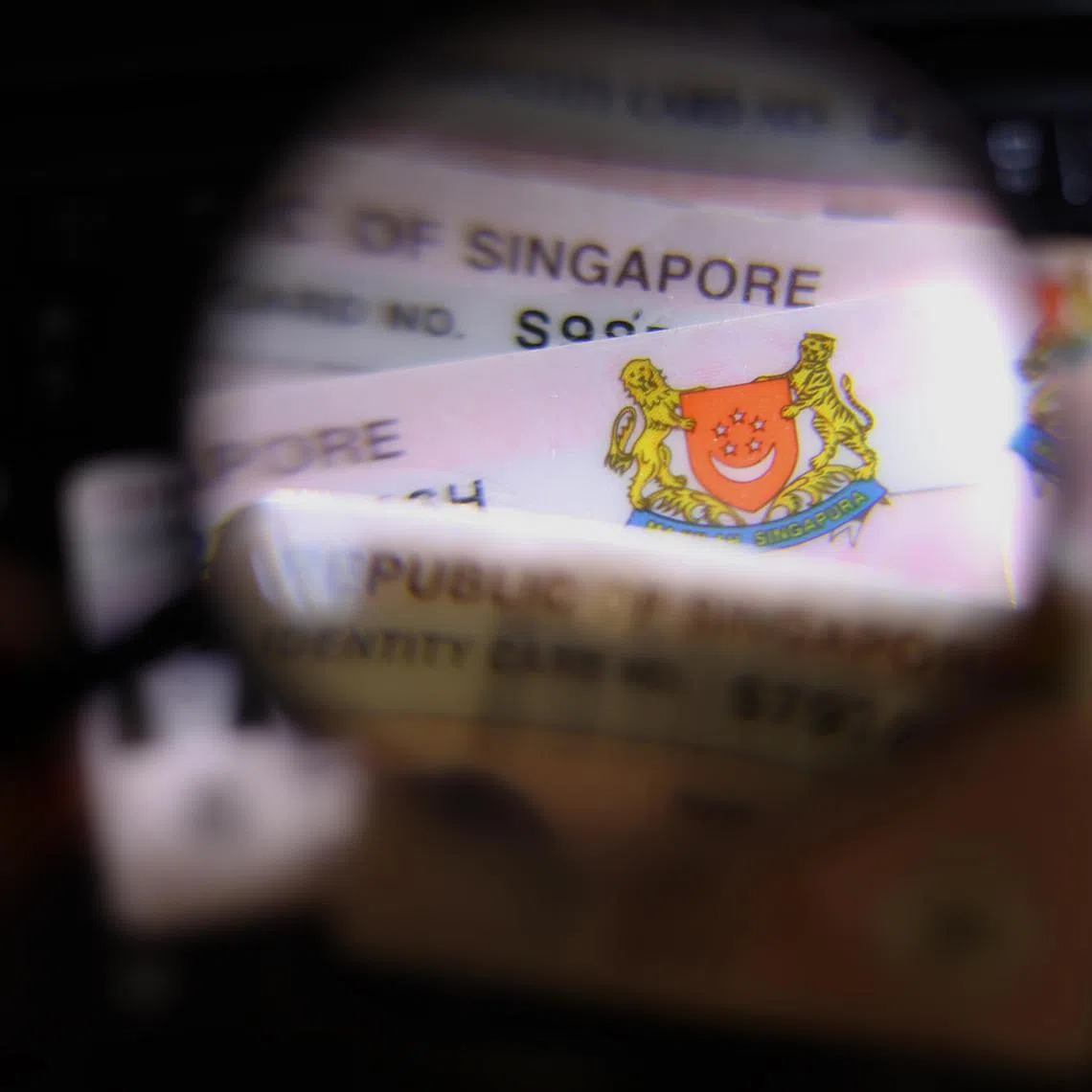 CMG20241219-HengYY01 / 王彦燕 / 身份证号码信息公开争议 [SPH] Tag - Identity Card,NRIC, IC, MDDI, ACRA, SINGPASS, security, cybersecurity, safety, 身份证