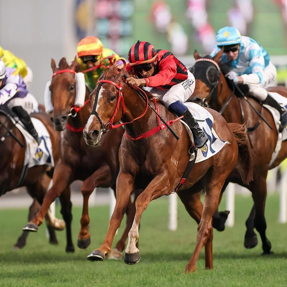 Nautical Force (Karis Teetan) winning a Class 2 race over 1,800m on debut at Sha Tin on April 19. He ran fourth in a Group 3 over 2,400m a fortnight later but will try and make amends by dropping back to 1,800m in the Group 3 Premier Plate on June 21. 

