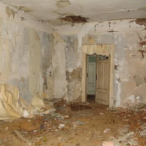 house, cancellation, renovation