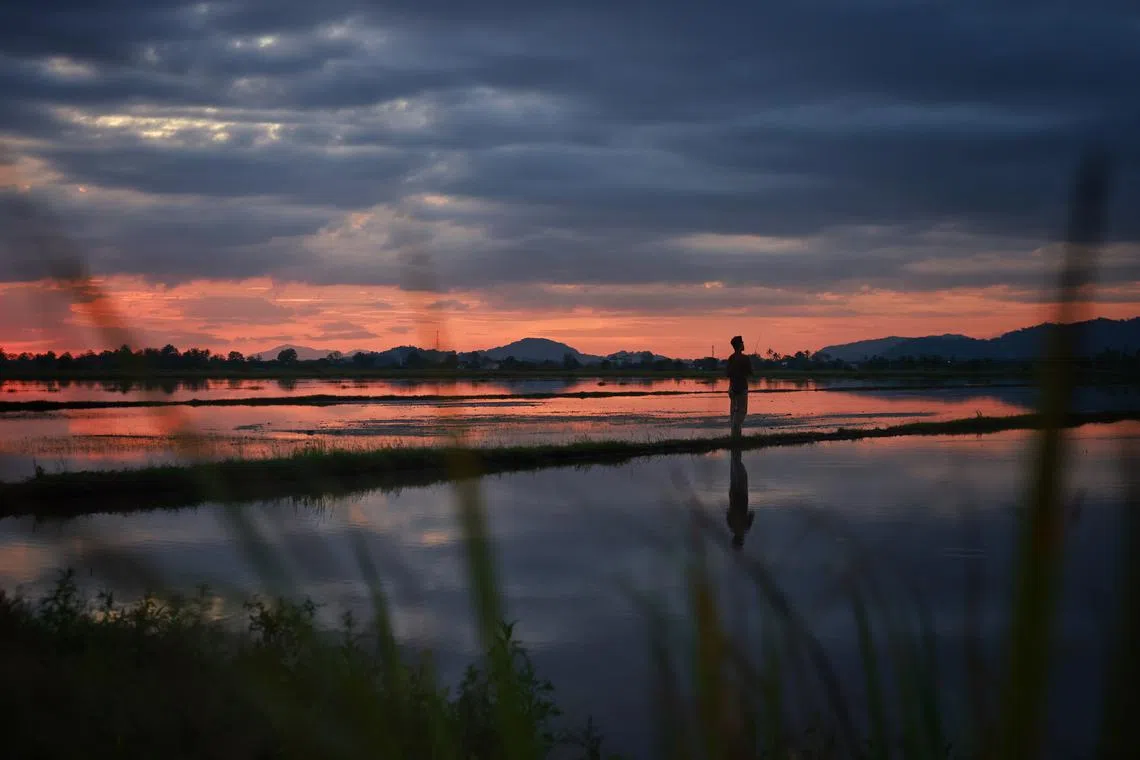 A man fishing in rural Perlis during sunset on 8 Nov, 2022.
