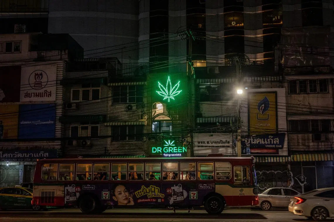 FILE PHOTO: A bus drives past the neon sign of a cannabis shop in Bangkok, Thailand, August 18, 2023. REUTERS/Jorge Silva/File Photo