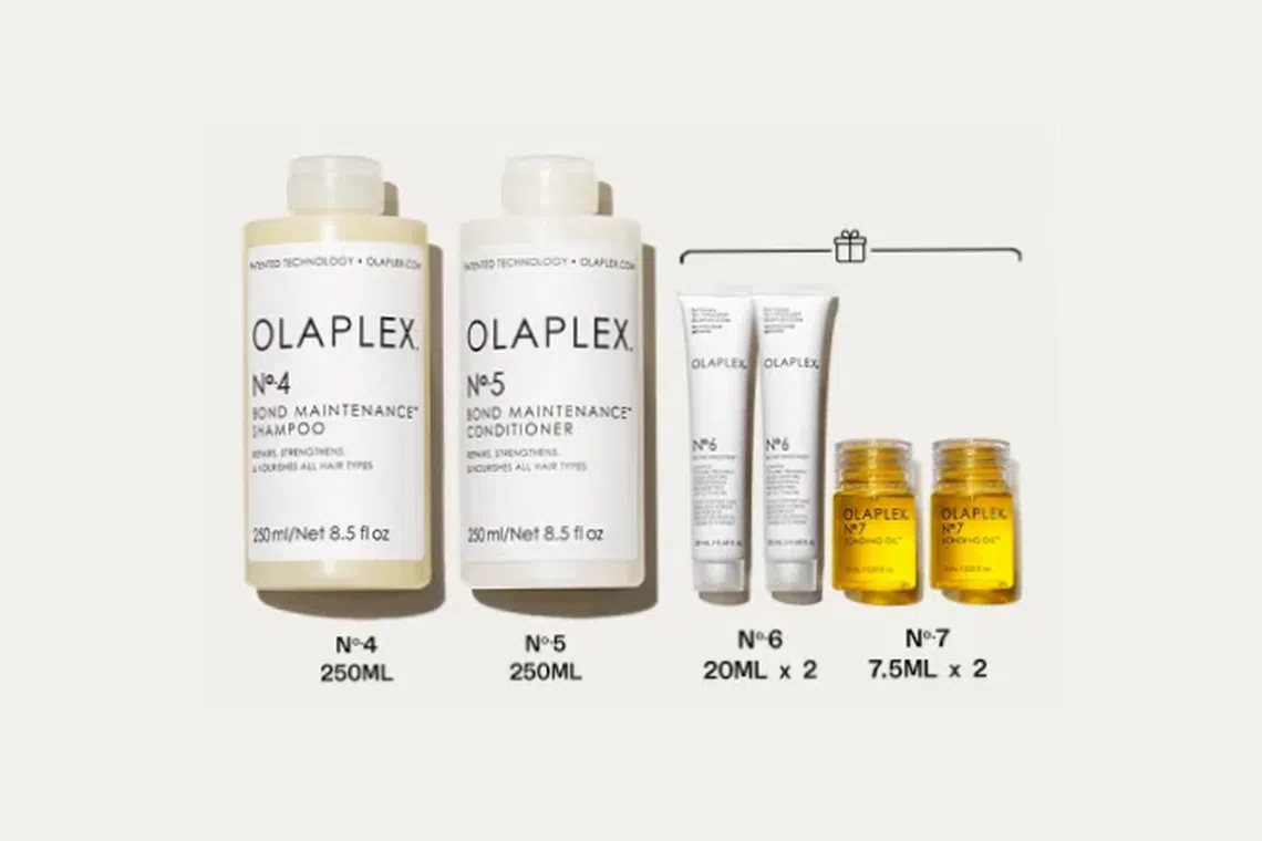 Olaplex Essential Hair Regiment Set