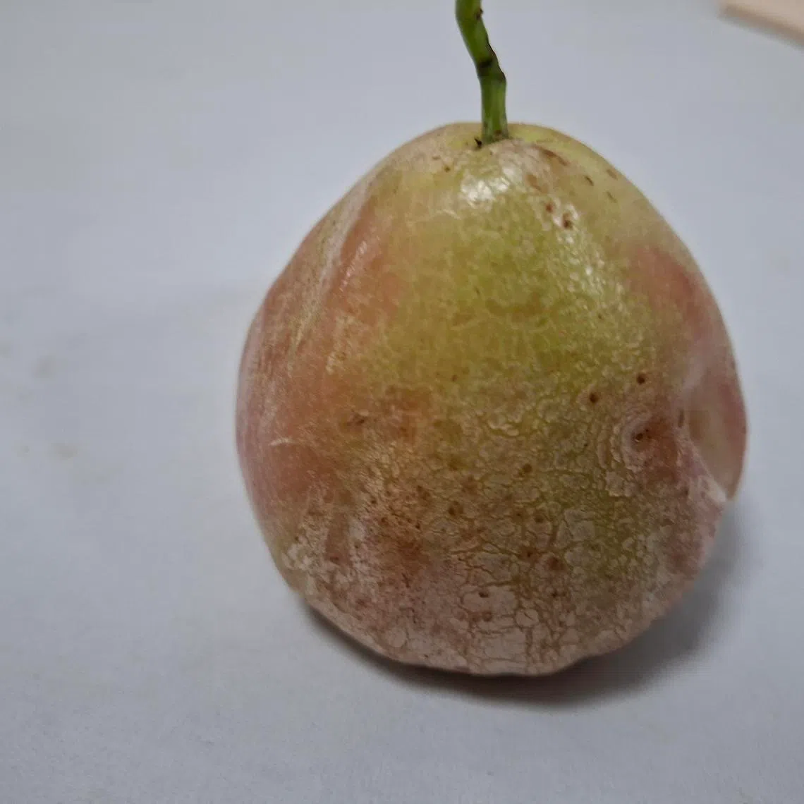 The fruit is still edible, provided the damage was not due to chemical application.