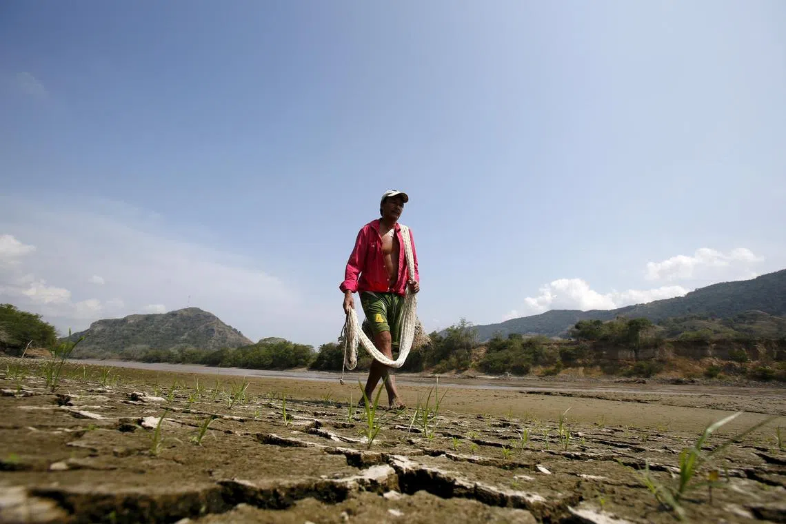 FILE PHOTO: Fisherman Gabriel Barreto walks on the shore of the Magdalena river, the longest and most important river in Colombia, in the city of Honda, January 14, 2016. While flooding and intense rain wreak havoc on several countries in Latin America, El Nino brings other harmful effects to Colombia with severe drought. Picture taken January 14, 2016. REUTERS/John Vizcaino/File Photo