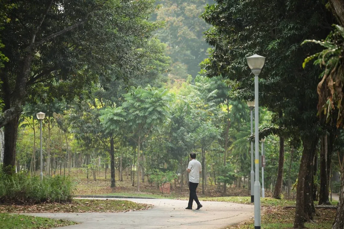 People at Bishan-Ang Mo Kio Park amid hazy conditions at 4.50pm on Sept 19.