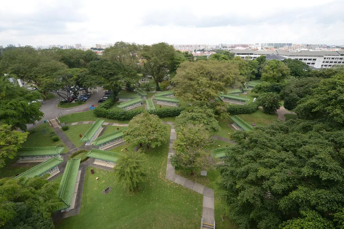 ST PHOTO ALPHONSUS CHERN