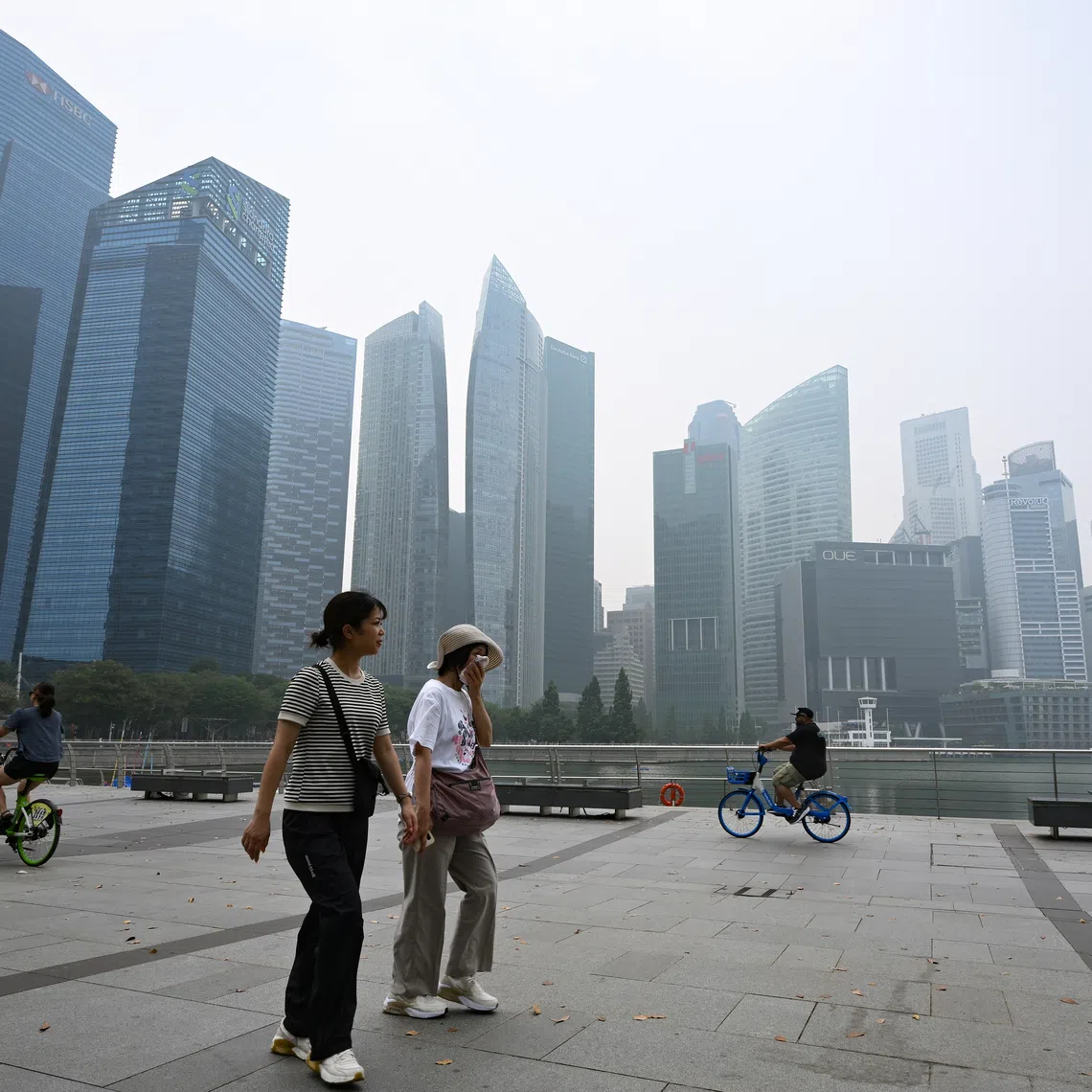 NEA said on Oct 23 that it was taking action against 10 companies under Singapore’s Transboundary Haze Pollution Act.