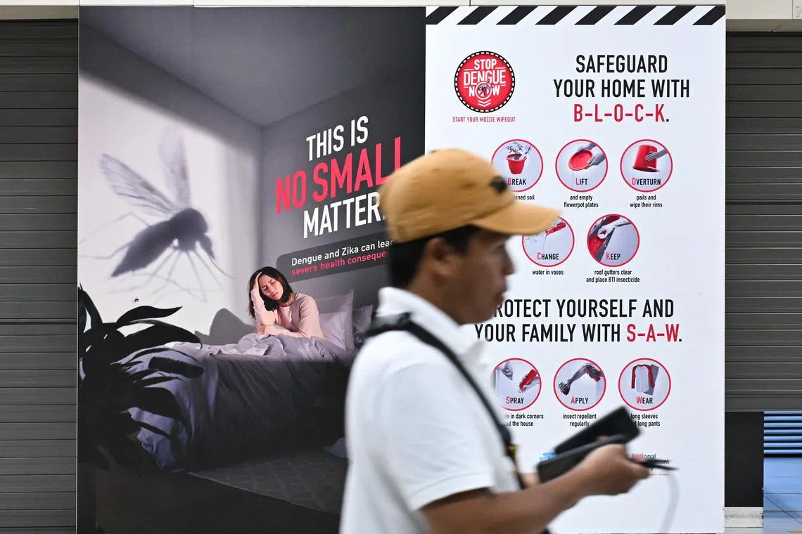 53 dengue cases reported in Singapore last week, highest weekly total so far in 2026