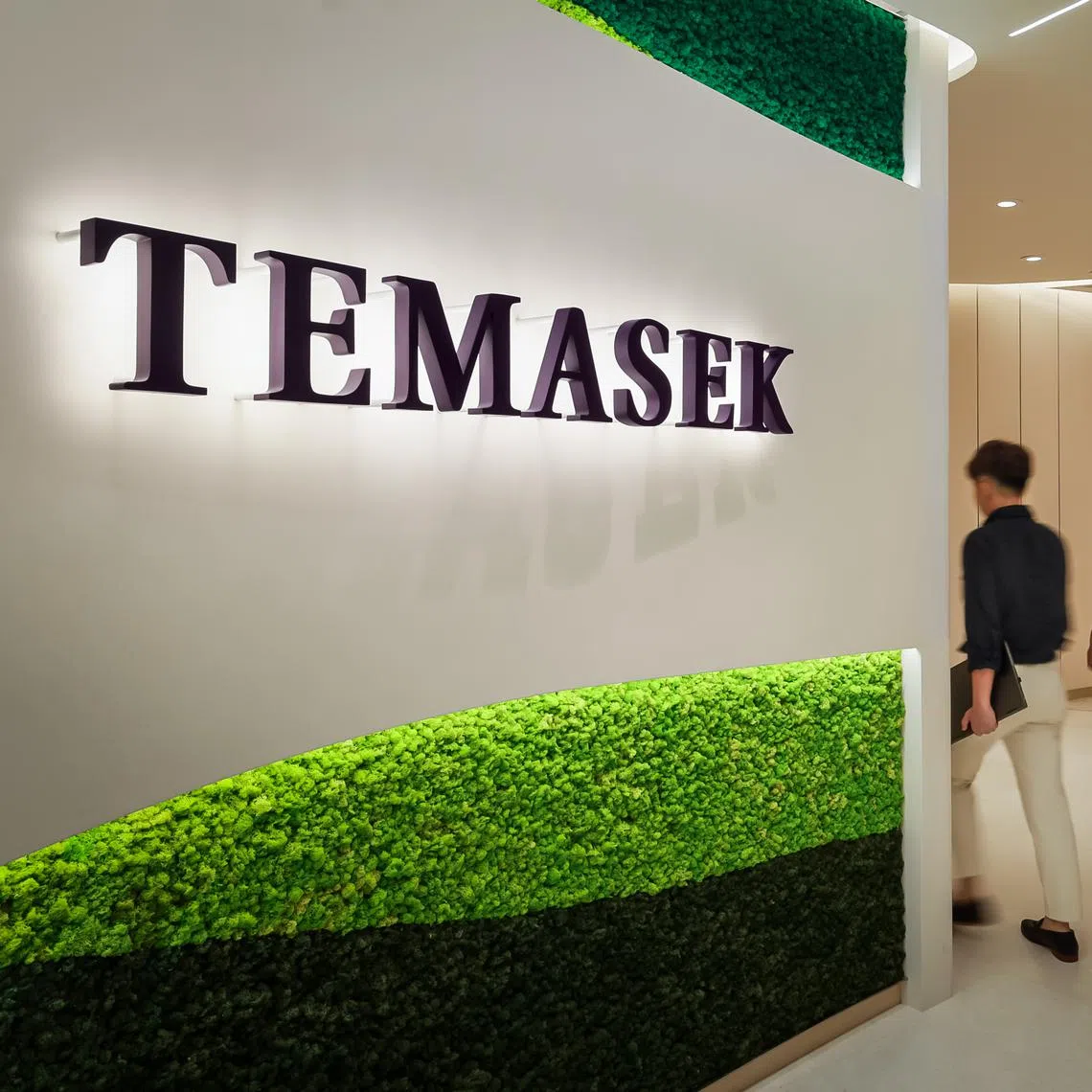 Temasek's portfolio swelled by US$13 billion or 35 per cent in 2025 on a mix of capital appreciation and fresh investments.