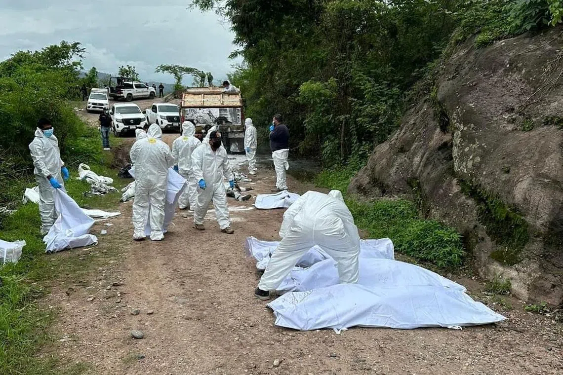 Forensic technicians work at a scene where authorities found several bodies linked to a gunfight between criminal gangs, in La Concordia, Chiapas state, Mexico, in this handout distributed on July 1, 2024. Chiapas State Prosecutor Office/Handout via REUTERS