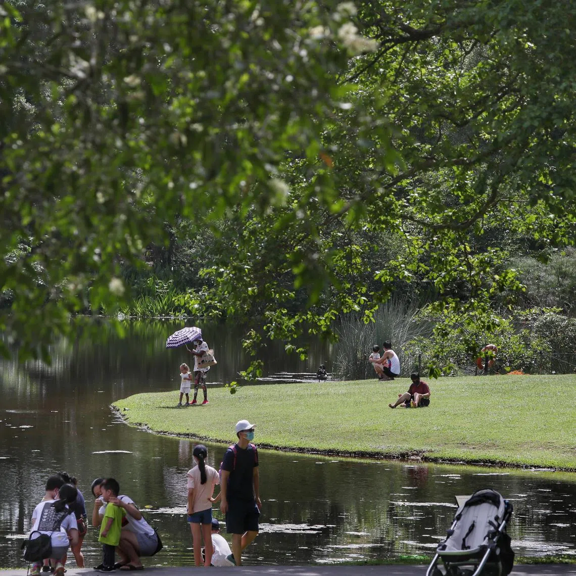 NParks said it is reviewing and updating its contracts, to ensure that works carried out do not deviate from what is stated.