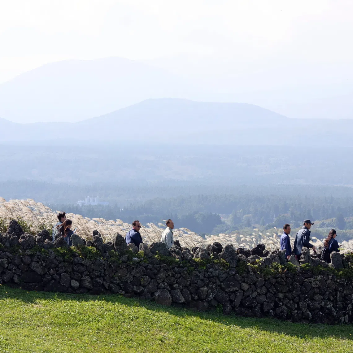 Mosquito samples collected in August on Jeju Island (above) included a species that normally lives in tropical or subtropical regions of the world.