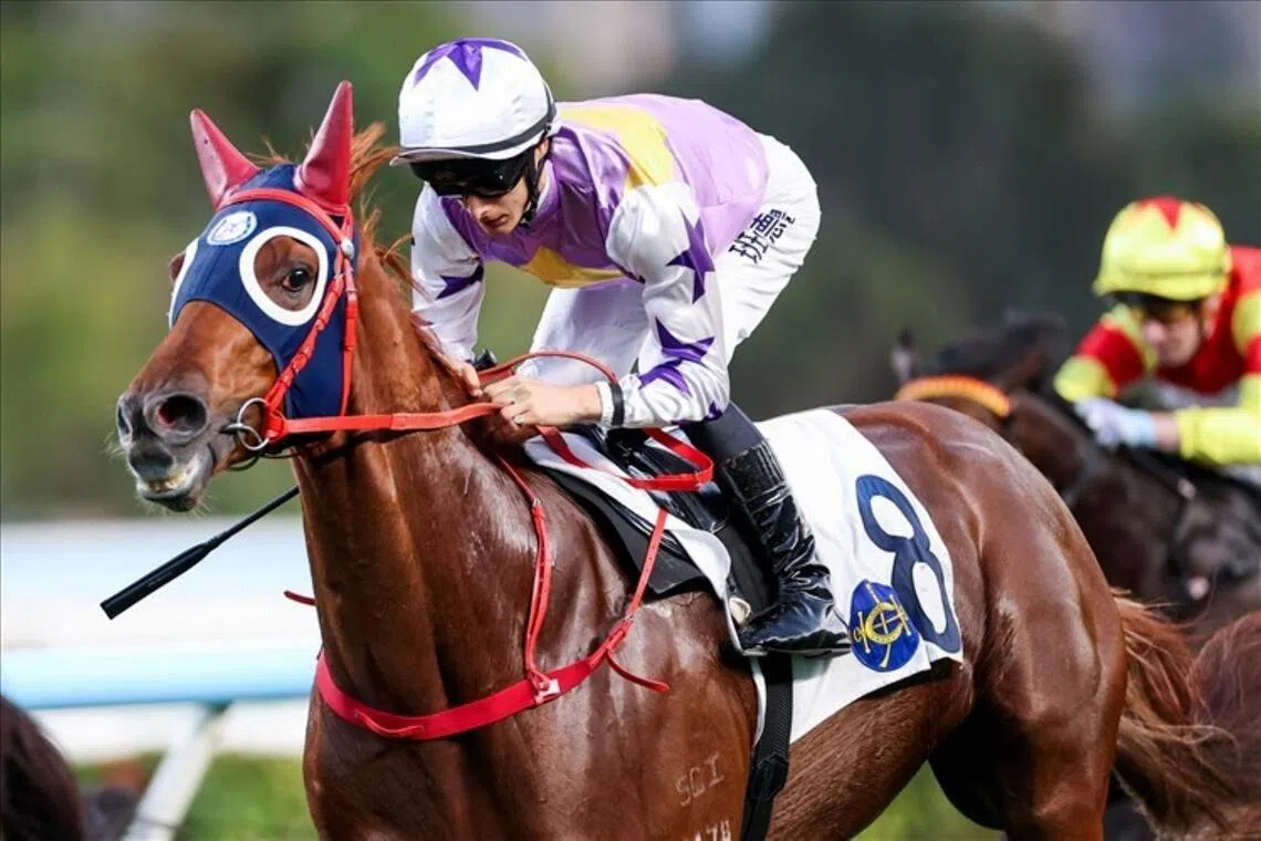 Regular partner Harry Bentley will try and use Stormy Grove's customary style of settling back, letting the race unfold, before producing a late surge to claim the BMW Hong Kong Derby (2,000m) at Sha Tin on March 22.

