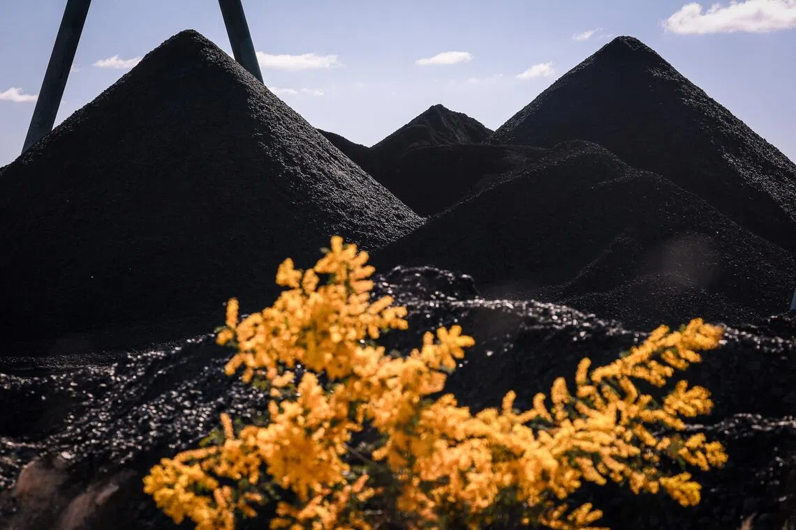 straitstimes.com - Australia's top court backs grassroots group in landmark climate case on coal mine