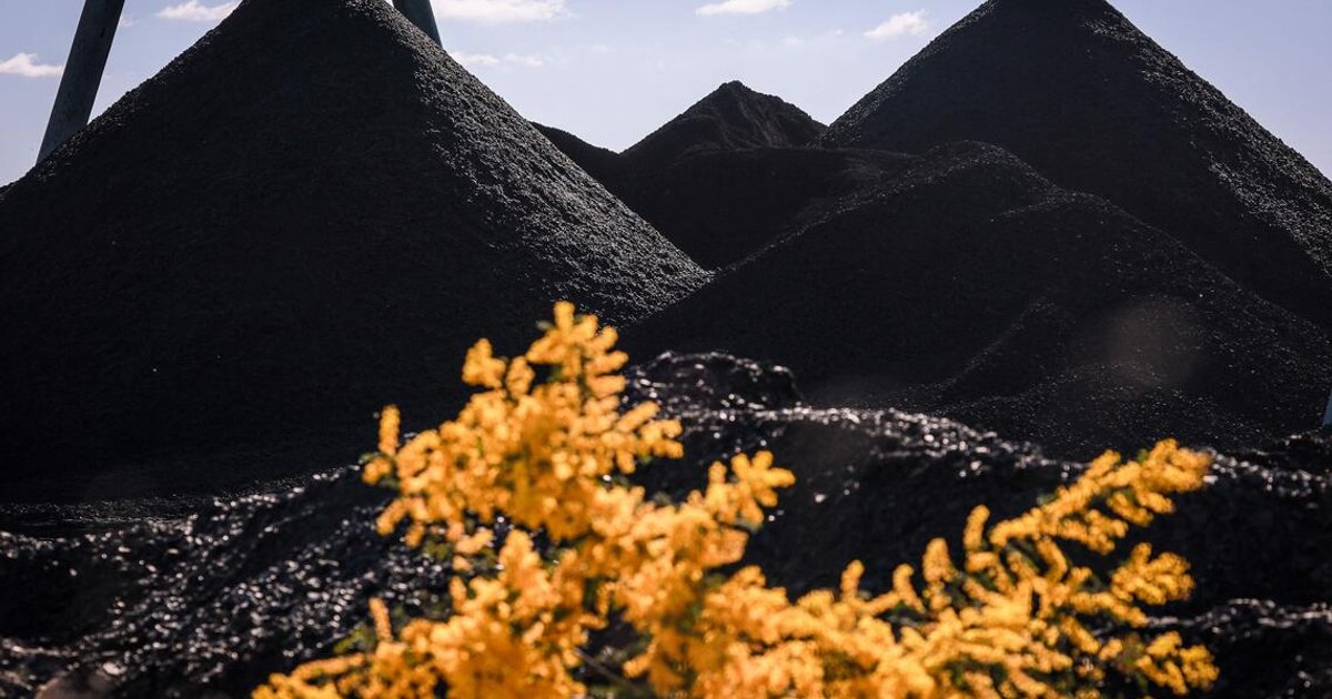 Australia’s top court backs grassroots group in landmark climate case on coal mine