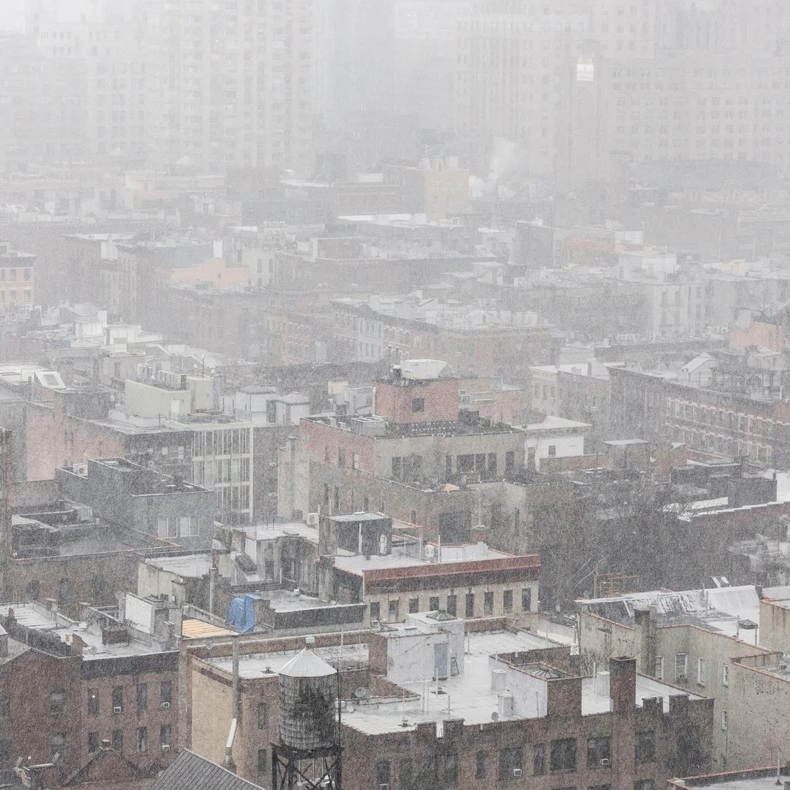 Snow covers residential buildings during a winter storm in the Brooklyn Borough of New York City, U.S., February 22, 2026. REUTERS/Jeenah Moon
