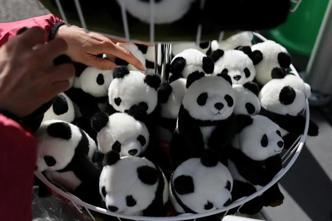 China poised to send pandas to US before Trump’s planned visit