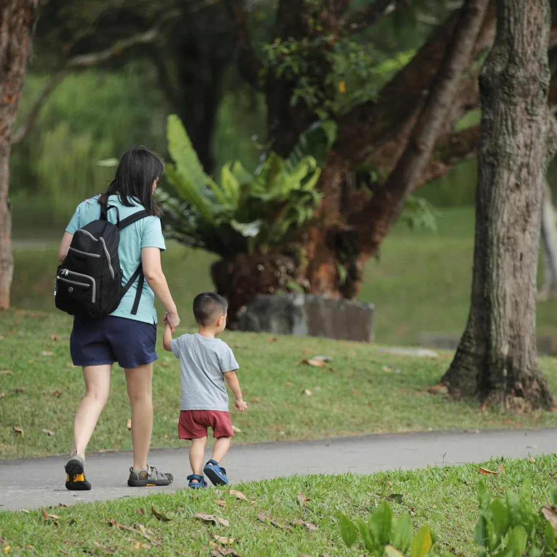 The writer says policies need to be designed around the principles of maximising reproductive choices and supporting couples’ fertility aspirations