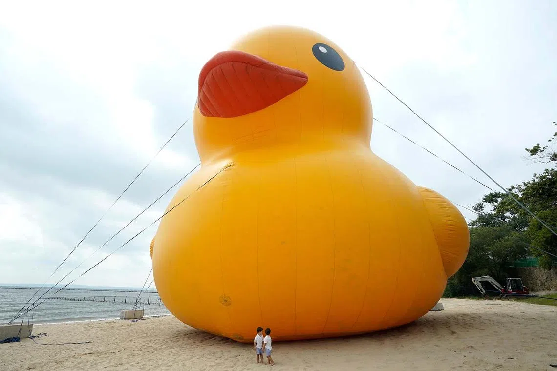 TOPSHOT - Children stand alongside the "World's Largest Rubber Duck" at Rye Playland Beach in Rye, New York, on August 17, 2024. The 61-foot-tall (19-meter) duck, named "Mama Duck," is spending the weekend at the beach to celebrate the Second Annual Duck Days of Summer. (Photo by TIMOTHY A. CLARY / AFP)