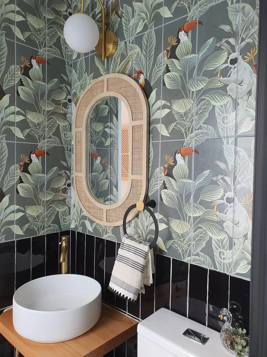 Washroom, tropical, New Zealand