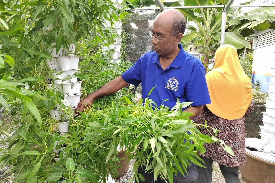 For Mr Latiff Abu Hassan, a community leader and seed supplier, the war in the Middle East has already landed in his garden.