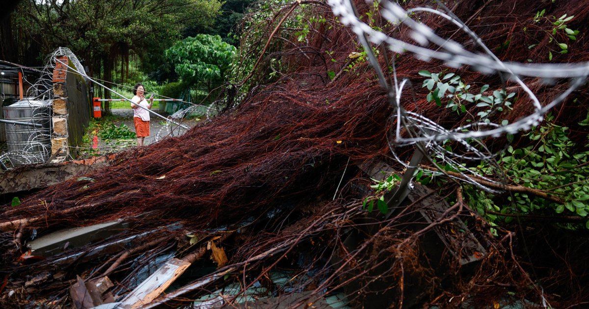 Typhoon Champi sweeps past Taiwan, one dead and 500 injured