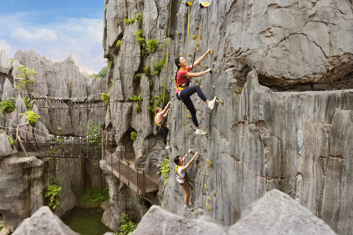 mandai wildlife reserve rainforest wild adventure rock wall climb